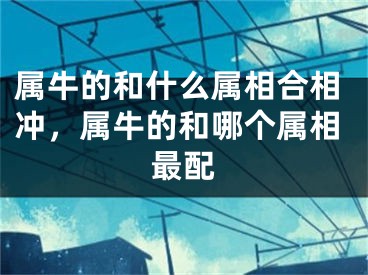 属牛的和什么属相合相冲，属牛的和哪个属相最配