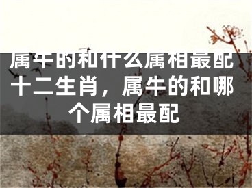 属牛的和什么属相最配十二生肖，属牛的和哪个属相最配