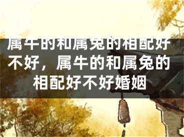 属牛的和属兔的相配好不好，属牛的和属兔的相配好不好婚姻
