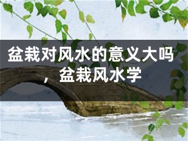 盆栽对风水的意义大吗，盆栽风水学