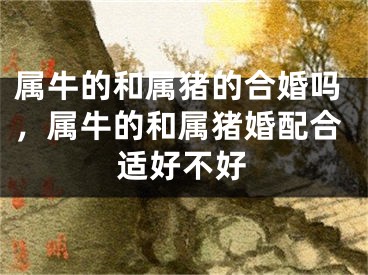 属牛的和属猪的合婚吗，属牛的和属猪婚配合适好不好