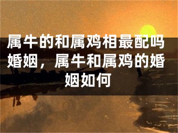 属牛的和属鸡相最配吗婚姻，属牛和属鸡的婚姻如何