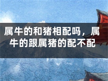 属牛的和猪相配吗，属牛的跟属猪的配不配