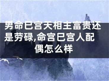 男命巳宫天相主富贵还是劳碌,命宫巳宫人配偶怎么样