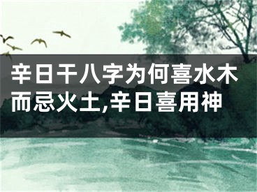 辛日干八字为何喜水木而忌火土,辛日喜用神