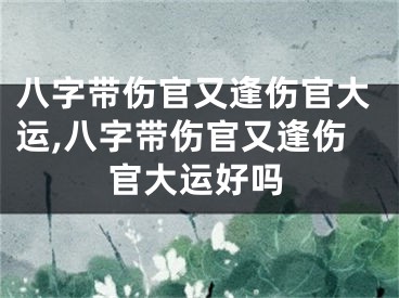 八字带伤官又逢伤官大运,八字带伤官又逢伤官大运好吗