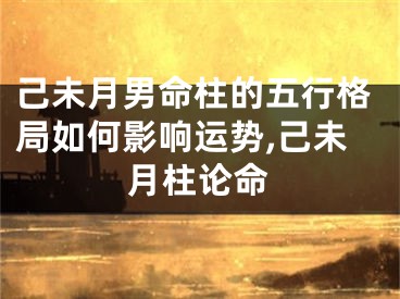己未月男命柱的五行格局如何影响运势,己未月柱论命