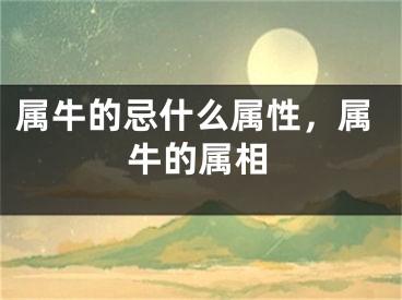 属牛的忌什么属性，属牛的属相