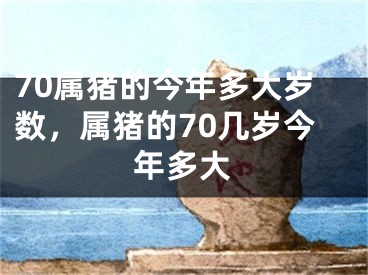 70属猪的今年多大岁数，属猪的70几岁今年多大