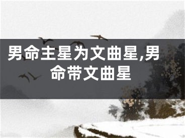 男命主星为文曲星,男命带文曲星