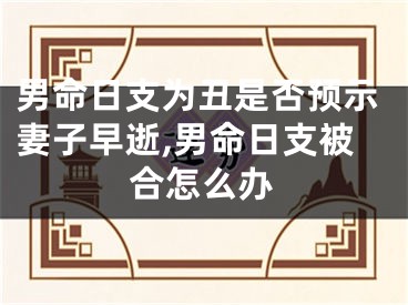 男命日支为丑是否预示妻子早逝,男命日支被合怎么办