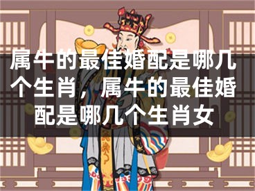 属牛的最佳婚配是哪几个生肖，属牛的最佳婚配是哪几个生肖女
