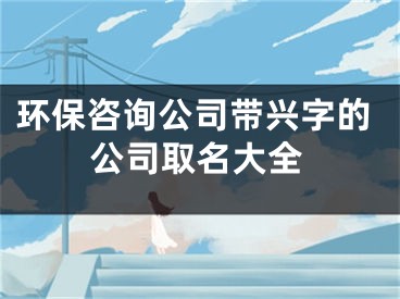 环保咨询公司带兴字的公司取名大全