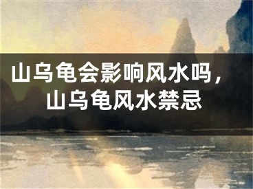 山乌龟会影响风水吗，山乌龟风水禁忌