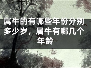 属牛的有哪些年份分别多少岁，属牛有哪几个年龄
