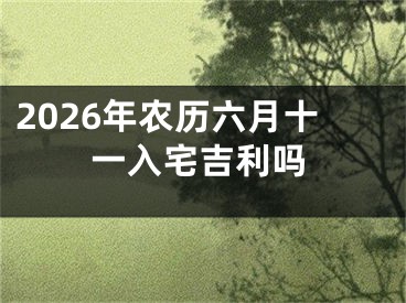 2026年农历六月十一入宅吉利吗