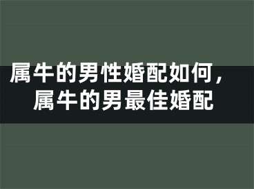 属牛的男性婚配如何，属牛的男最佳婚配