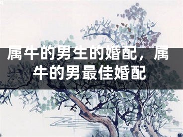 属牛的男生的婚配，属牛的男最佳婚配