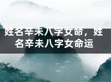姓名辛未八字女命，姓名辛未八字女命运