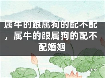 属牛的跟属狗的配不配，属牛的跟属狗的配不配婚姻