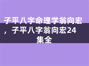 子平八字命理学翁向宏，子平八字翁向宏24集全