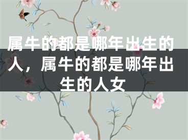 属牛的都是哪年出生的人，属牛的都是哪年出生的人女