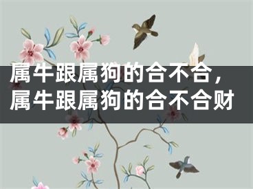 属牛跟属狗的合不合，属牛跟属狗的合不合财