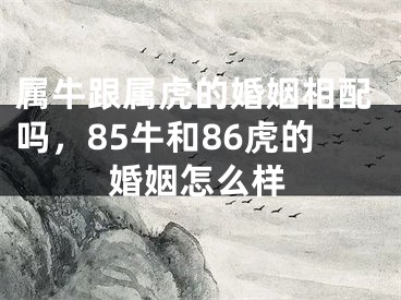 属牛跟属虎的婚姻相配吗，85牛和86虎的婚姻怎么样