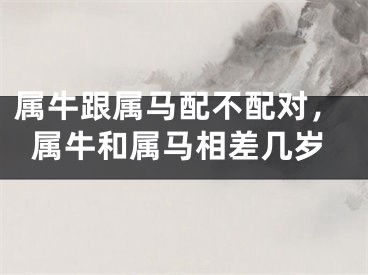 属牛跟属马配不配对，属牛和属马相差几岁
