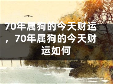 70年属狗的今天财运，70年属狗的今天财运如何