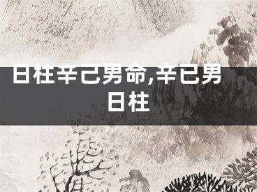 日柱辛己男命,辛已男日柱