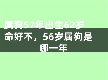属狗57年出生62岁命好不，56岁属狗是哪一年
