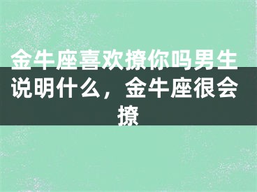 金牛座喜欢撩你吗男生说明什么，金牛座很会撩