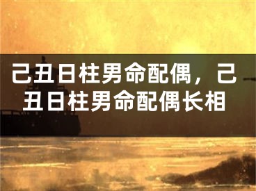 己丑日柱男命配偶,己丑日柱男命配偶长相