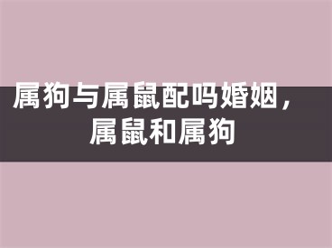 属狗与属鼠配吗婚姻，属鼠和属狗