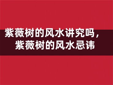 紫薇树的风水讲究吗,紫薇树的风水忌讳