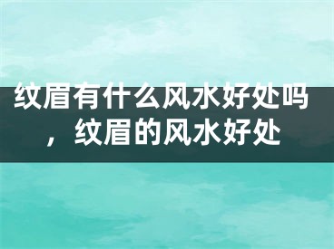 纹眉有什么风水好处吗，纹眉的风水好处