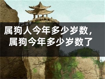 属狗人今年多少岁数，属狗今年多少岁数了