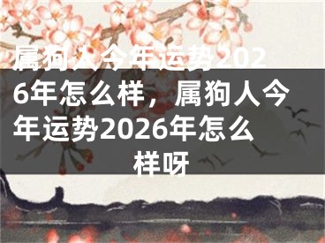 属狗人今年运势2026年怎么样，属狗人今年运势2026年怎么样呀