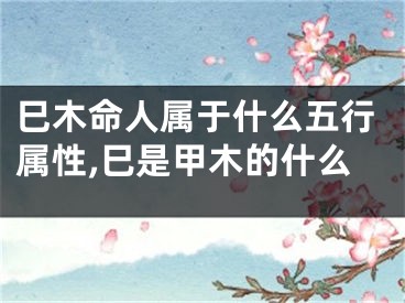 巳木命人属于什么五行属性,巳是甲木的什么