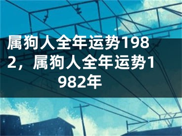 属狗人全年运势1982，属狗人全年运势1982年