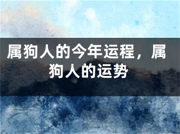 属狗人的今年运程，属狗人的运势
