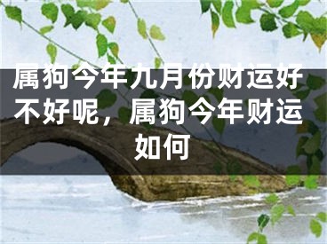 属狗今年九月份财运好不好呢，属狗今年财运如何