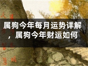 属狗今年每月运势详解，属狗今年财运如何