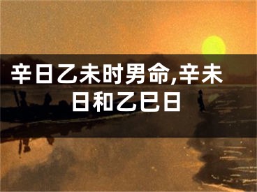 辛日乙未时男命,辛未日和乙巳日