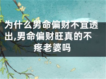 为什么男命偏财不宜透出,男命偏财旺真的不疼老婆吗