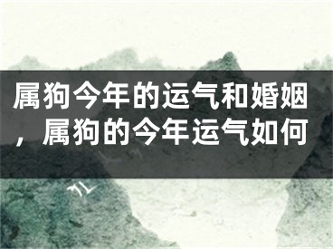 属狗今年的运气和婚姻，属狗的今年运气如何