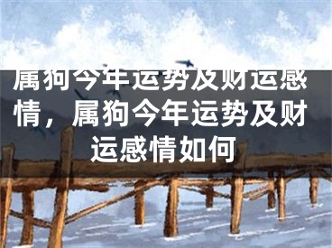 属狗今年运势及财运感情，属狗今年运势及财运感情如何