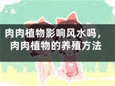 肉肉植物影响风水吗,肉肉植物的养殖方法