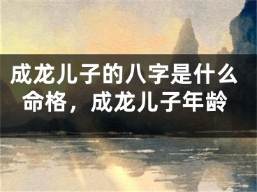 成龙儿子的八字是什么命格，成龙儿子年龄